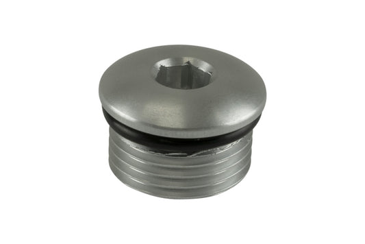 Turbosmart -10AN ORB Blank - Clear