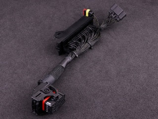 MaxxECU -  MaxxECU Plugin adapter - Audi AAN