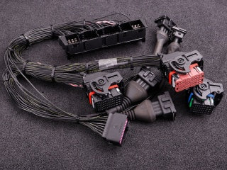MaxxECU -  MaxxECU PRO Plugin adapter - Porsche 996 E-Throttle (ME 7.8)