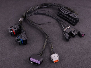 MaxxECU -  Audi S4 2.7 turbo (ME 7.1) MaxxECU RACE plugin adapter
