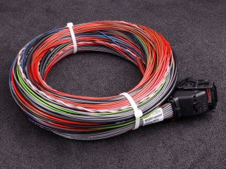 MaxxECU -  MaxxECU SPORT cable harness