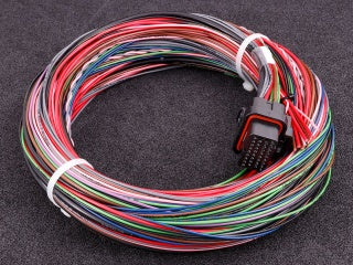 MaxxECU -  MaxxECU Gen2 Race Harness 1