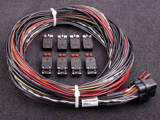 MaxxECU -  MaxxECU Gen2 Race Harness 4