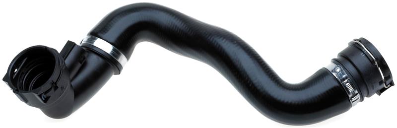 Photo - Primary