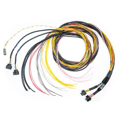 Fueltech FT700 Plus