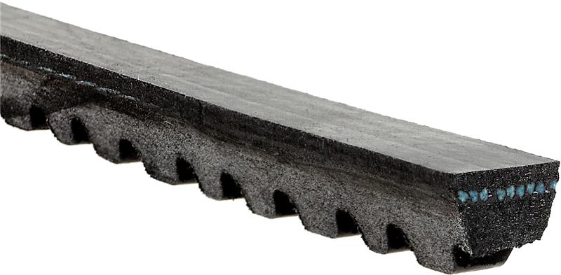 Photo - Primary