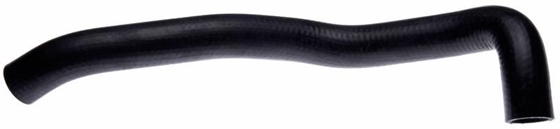 Photo - Primary