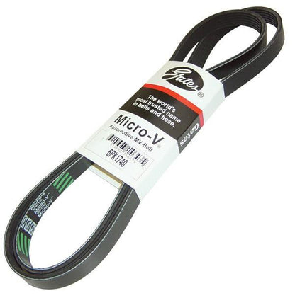 Photo - Primary